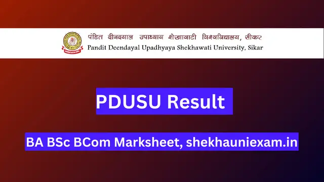 PDUSU Result 2024, BA BSc BCom Marksheet, shekhauniexam.in